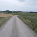 weiter auf dem Weg Richtung Monteroni d'Arbia