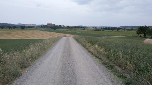 weiter auf dem Weg Richtung Monteroni d'Arbia