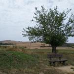 solche Bänke sind auf der Via Francigena leider eher selten anzutreffen