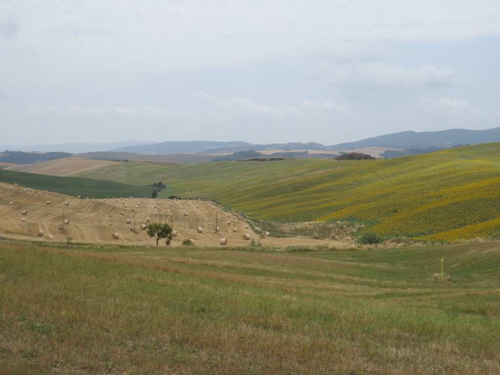 wir sind von der Wegführung begeistert