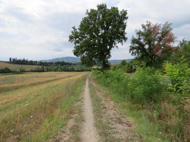 der Weg führt uns teilweise an der Via Cassia entlang