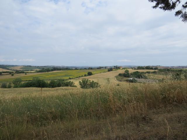 Blick auf das Val d'Orcia