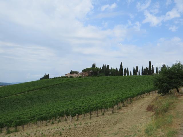 die bezaubernde Landschaft des Val D'Orcia, das Tal,...