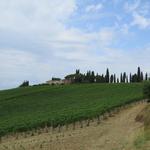 die bezaubernde Landschaft des Val D'Orcia, das Tal,...