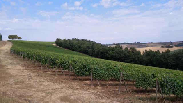 Toscana Val d'Orcia
