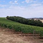 Toscana Val d'Orcia