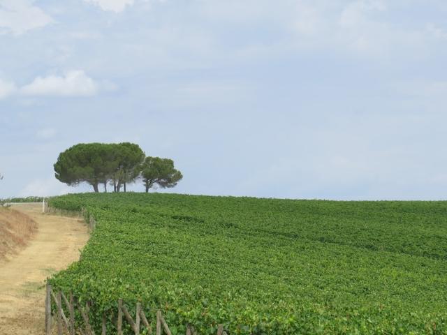 Toscana Val d'Orcia