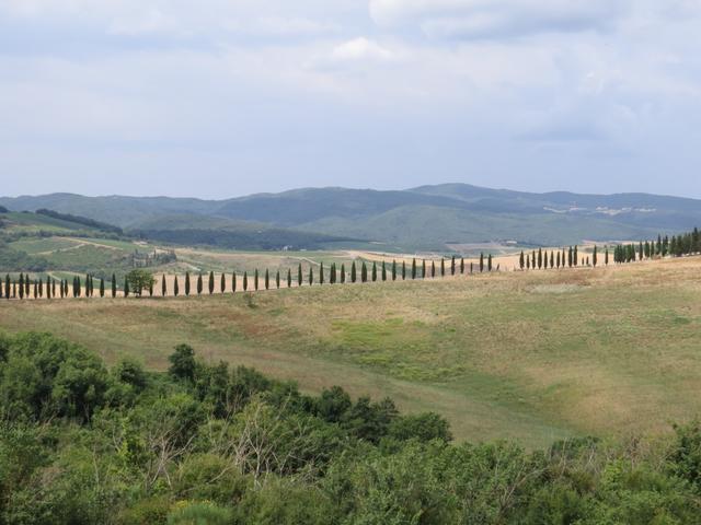 Toscana Val d'Orcia