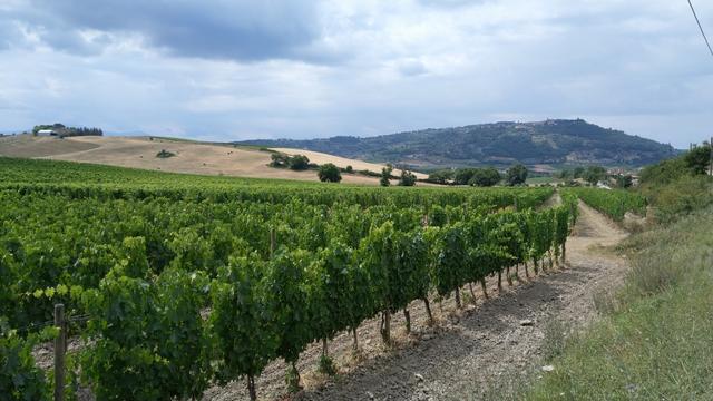 rechts am Bildrand ist Montalcino ersichtlich