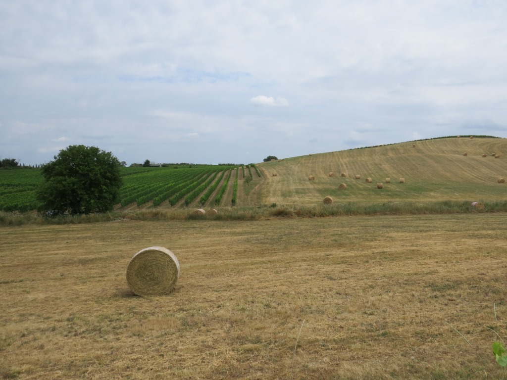 Toscana Val d'Orcia