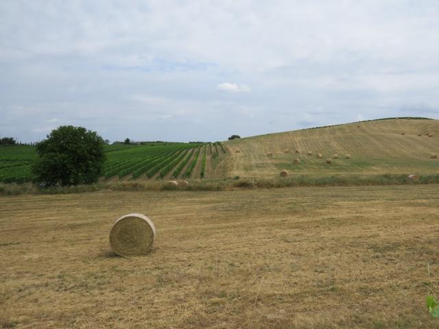 Toscana Val d'Orcia