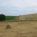 Toscana Val d'Orcia