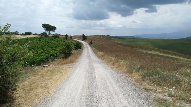 auf dem Weg nach Torrenieri