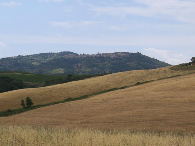 auf diesem Hügel liegt Montalcino. Bekannt wegen dem guten und teuren Wein