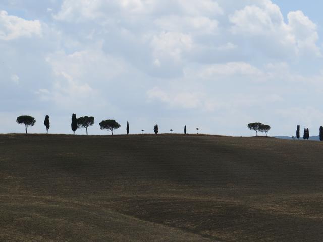 Toscana wie aus dem Bilderbuch