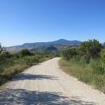 auf der "weissen Strassen der Toscana" wandern wir weiter Richtung Vignoni