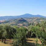 am Horizont ist der Monte Amiata ersichtlich. Castiglione d'Orcia auf dem Hügel ist auch gut ersichtlich