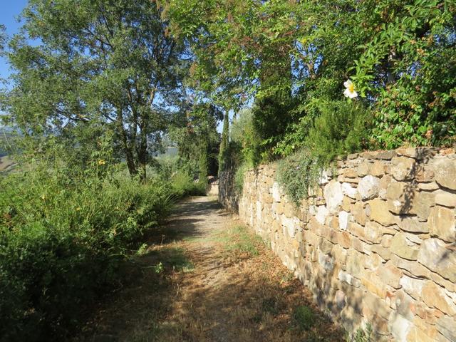 über einen sehr schönen Weg mit Trockenmauer, wandern wir nun abwärts