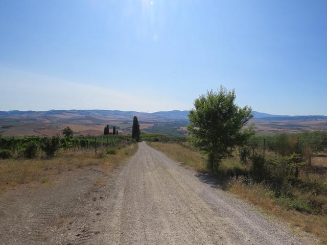 mit weiterhin wunderbaren Aussichten, wandern wir weiter Richtung Bagno Vignoni