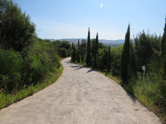 ein Wanderweg wie ein Gemälde