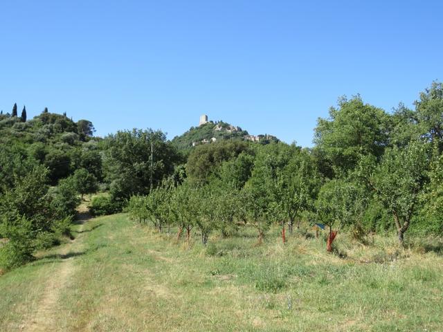 direkt vor uns Castiglione d'Orcia mit seinem Schloss