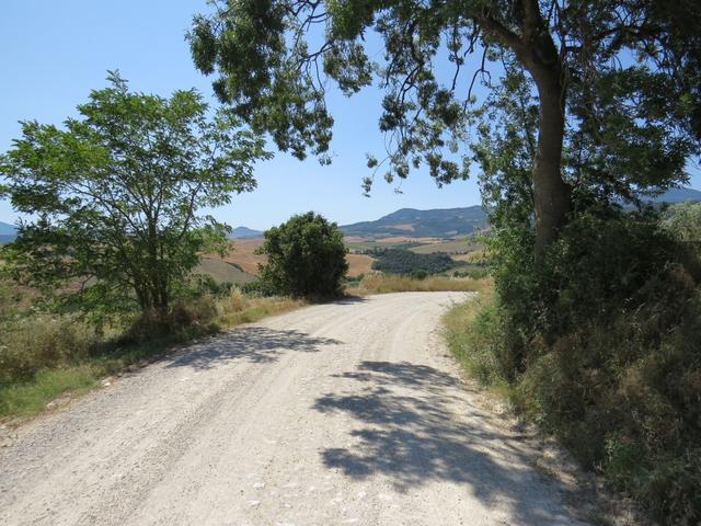 über die "weisse Strasse" der Toscana geht es weiter