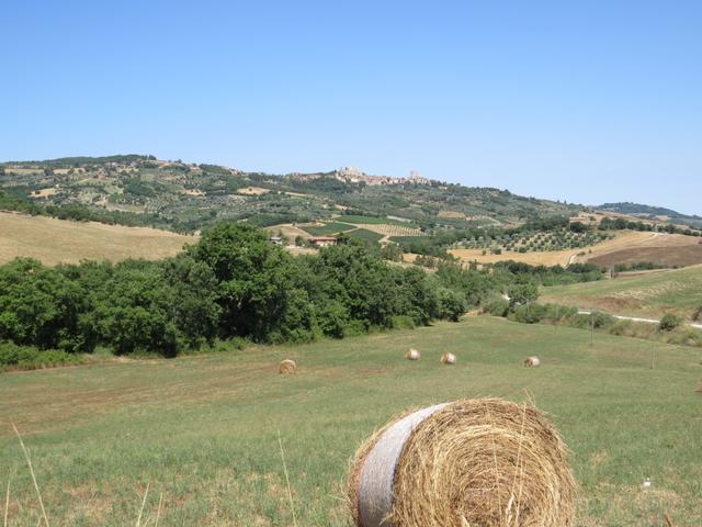 Blick zurück nach Castiglione d'Orcia