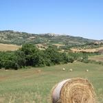 Blick zurück nach Castiglione d'Orcia