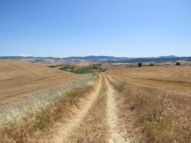 die Route führt mit phänomenalen Fernblicken an diversen Bauernhöfe vorbei