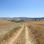 die Route führt mit phänomenalen Fernblicken an diversen Bauernhöfe vorbei