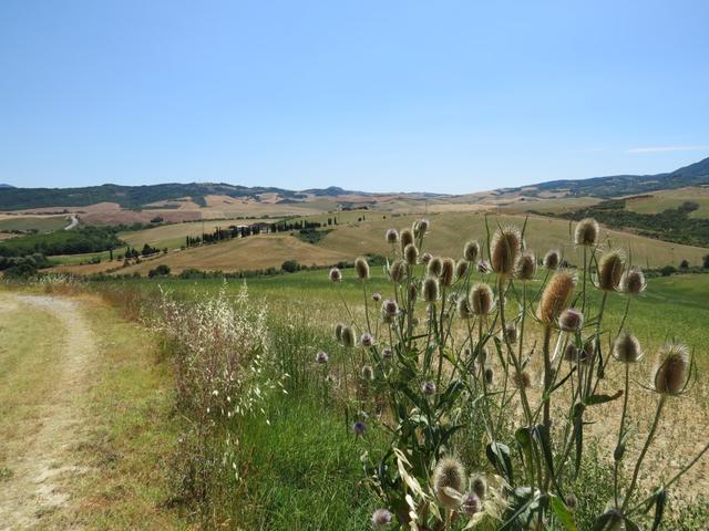 langsam aber sicher geht es Richtung Grenze der Toscana