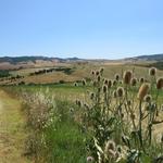 langsam aber sicher geht es Richtung Grenze der Toscana