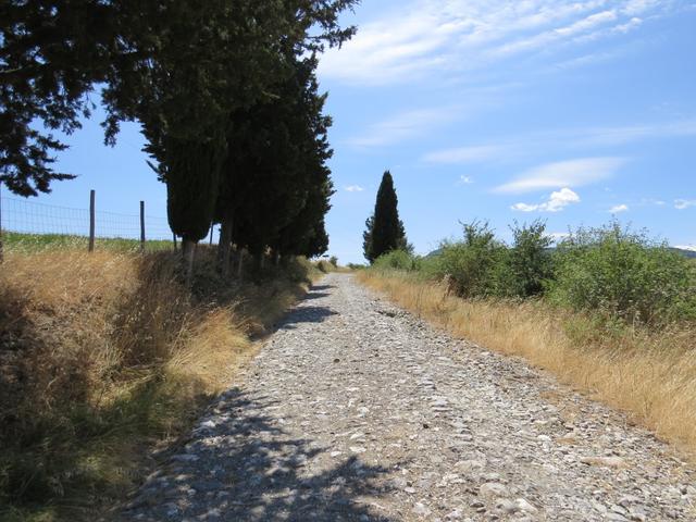 rechts davon laufen wir über die alte Via Cassia. Die Via Cassia zählte zu den wichtigsten Verbindungen in der Antike
