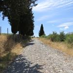 rechts davon laufen wir über die alte Via Cassia. Die Via Cassia zählte zu den wichtigsten Verbindungen in der Antike
