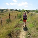 der Wanderweg führt uns neben der Strasse (fast kein Verkehr) meistens aufwärts...