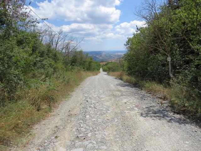 alles abwärts wandern wir wieder auf der "weissen Strasse der Toscana"