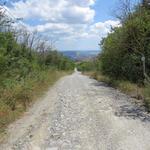 alles abwärts wandern wir wieder auf der "weissen Strasse der Toscana"