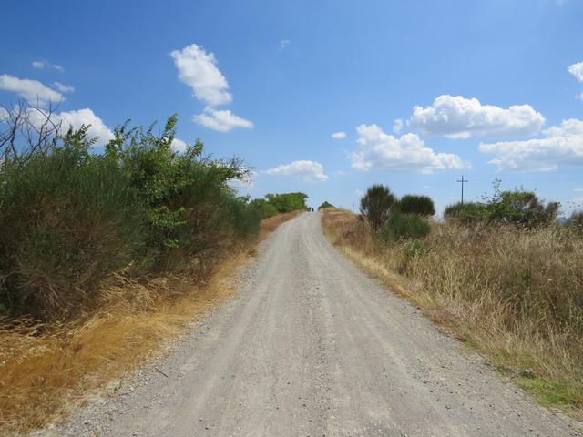 bei weit über 30 Grad wandern wir über Schotterwege, die letzten Kilometer durch die Toscana