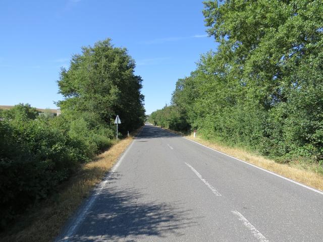 der Weg führt uns zuerst der Strasse entlang. Kein Verkehr weit und breit zu sehen