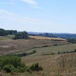 grüne Felder soweit das Auge reicht. Die Umgebung ist nun eine andere als in der Toscana