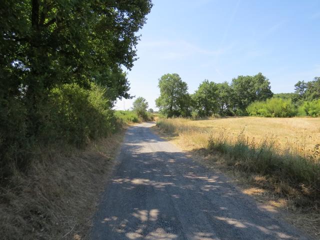 schon bald verlassen wir die Teerstrasse, und wir biegen in einem Kiesweg ab