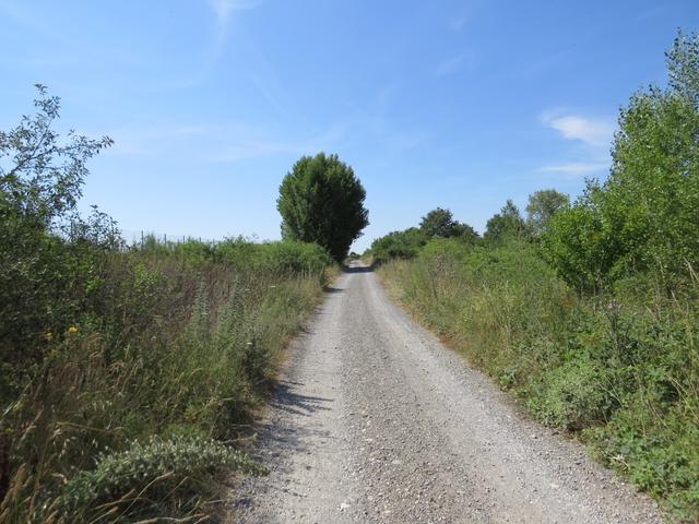 auf dem Weg nach San Lorenzo Nuovo