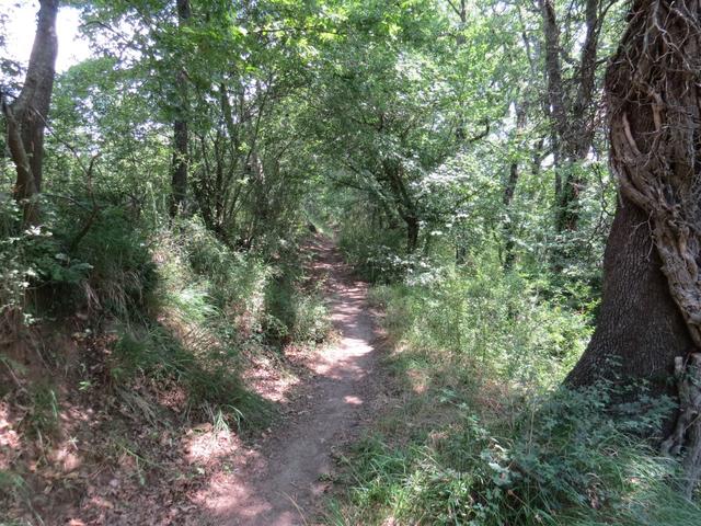 steil und ruppig führt uns die Via Francigena nun abwärts