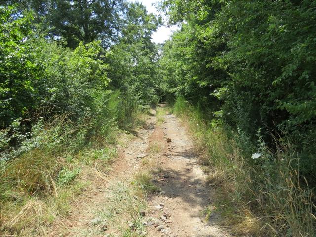 über Feld und Waldwege geht es weiter