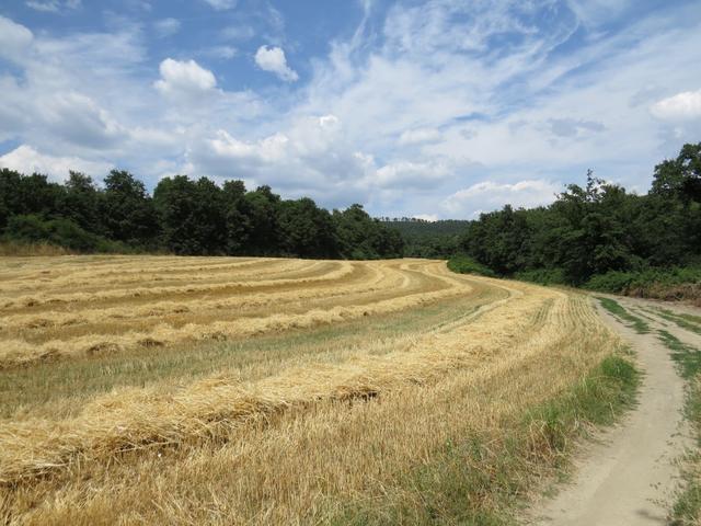 auch heute zeigt sich die Via Francigena von seiner schönsten Seite