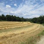 auch heute zeigt sich die Via Francigena von seiner schönsten Seite