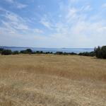 und immer wieder diese traumhafte Aussicht auf den Lago di Bolsena