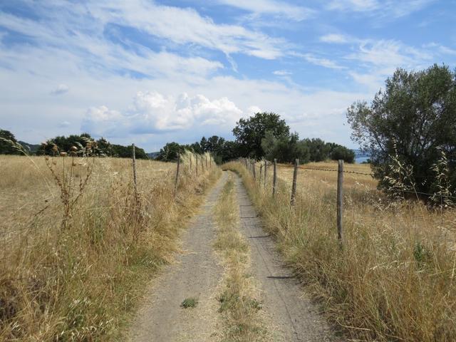 wir geniessen jeden Meter, wohlwissend das es für dieses Jahr die letzte Etappe auf der Via Francigena sein wird