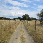 wir geniessen jeden Meter, wohlwissend das es für dieses Jahr die letzte Etappe auf der Via Francigena sein wird