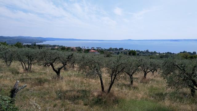 vor uns taucht Bolsena auf, unser heutiges Etappenziel